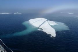 Grenlandia 2012